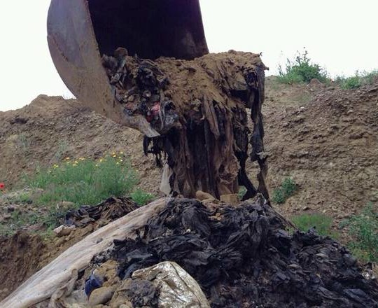 Archivio Ansa/Franco Cautillo