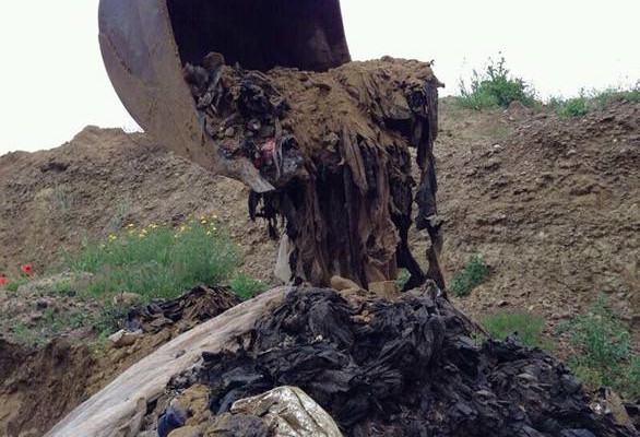 Archivio Ansa/Franco Cautillo