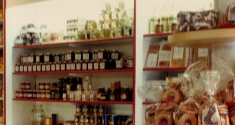alimenti