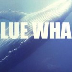 blue whale