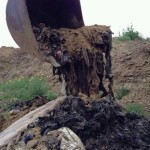 Archivio Ansa/Franco Cautillo