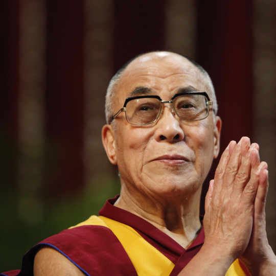 The Dalai Lama gestures before speaking to students during a talk at Mumbai University February 18, 2011. REUTERS/Danish Siddiqui (INDIA - Tags: EDUCATION RELIGION) - RTR2IRAI