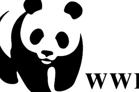wwf