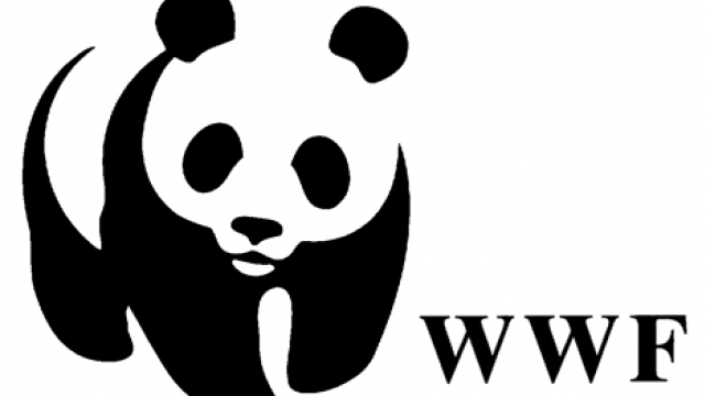 wwf