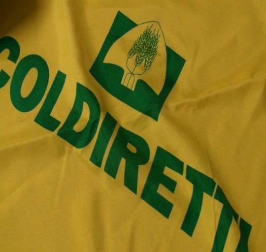coldiretti