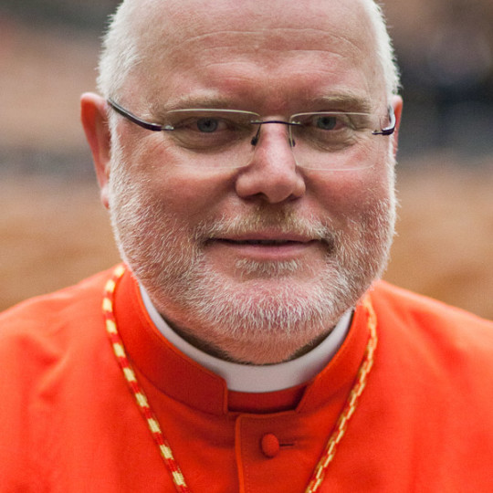 Newly appointed german cardinal Reinhard Marx, archbishop of Münich und Freising, poses during the courtesy visits at the Paul VI Hall. Vatican City, November 20, 2010.