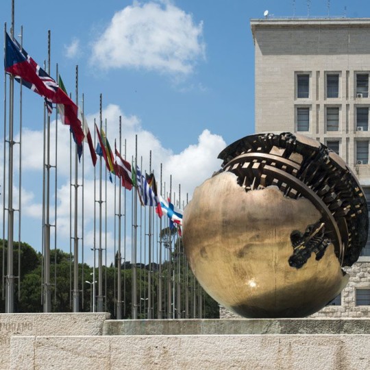 Farnesina note migranti