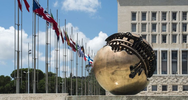 Farnesina note migranti