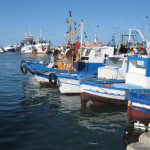 pesca sicilia