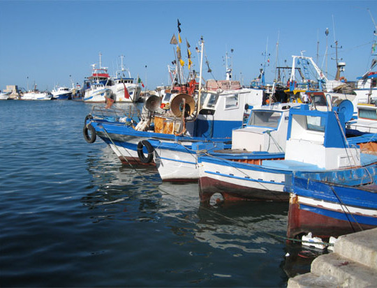 pesca sicilia