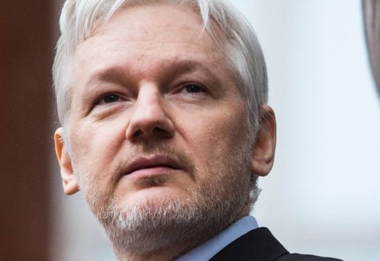 assange